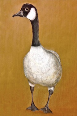 Goose. Pastel. 22" x 36"