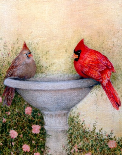Cardinals. Watercolour. 11" x 14"
